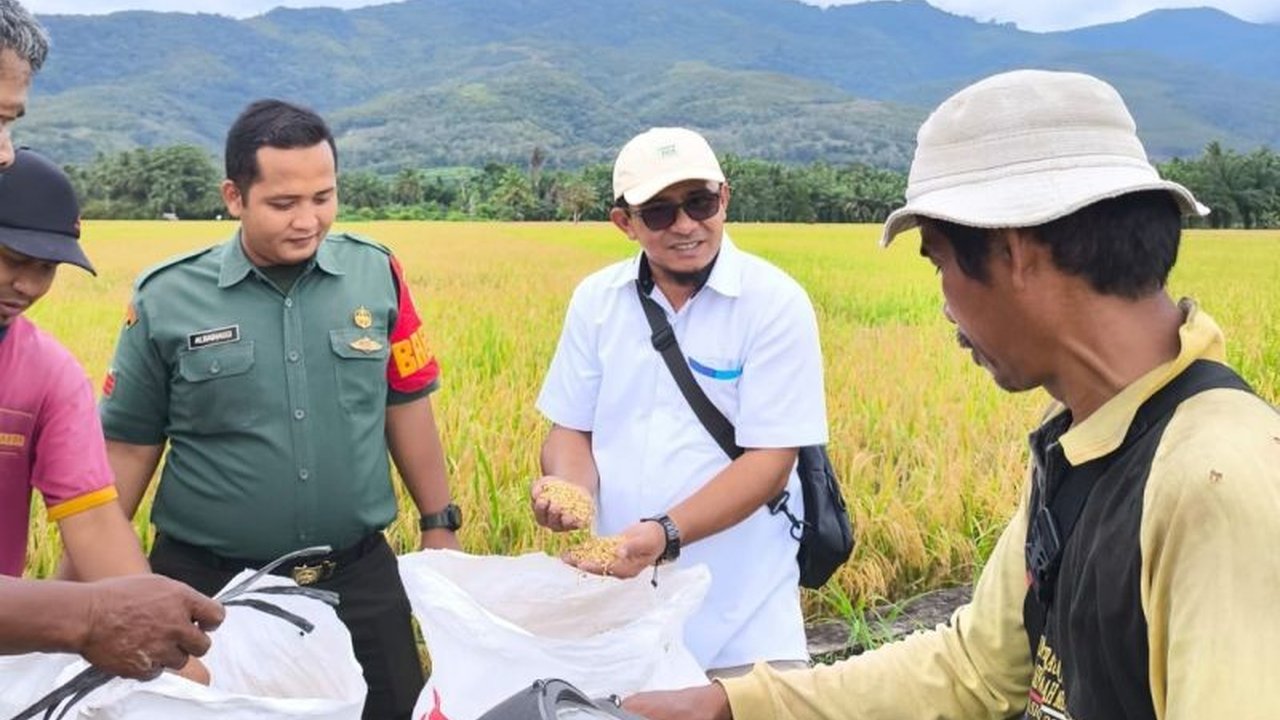 Bulog Cabang Bukittinggi berhasil menyerap 467 ton beras dan 120 ton gabah dari petani di Sumatera Barat hingga April 2025, mendukung program swasembada pangan nasional.