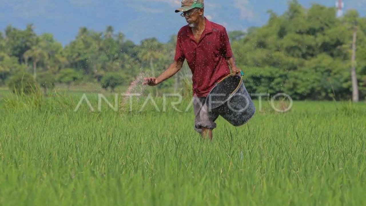 Dinas Pertanian Aceh Besar optimis akan menanam padi seluas 14 ribu hektare di musim gadu tahun ini, meskipun beberapa wilayah rawan kekeringan.