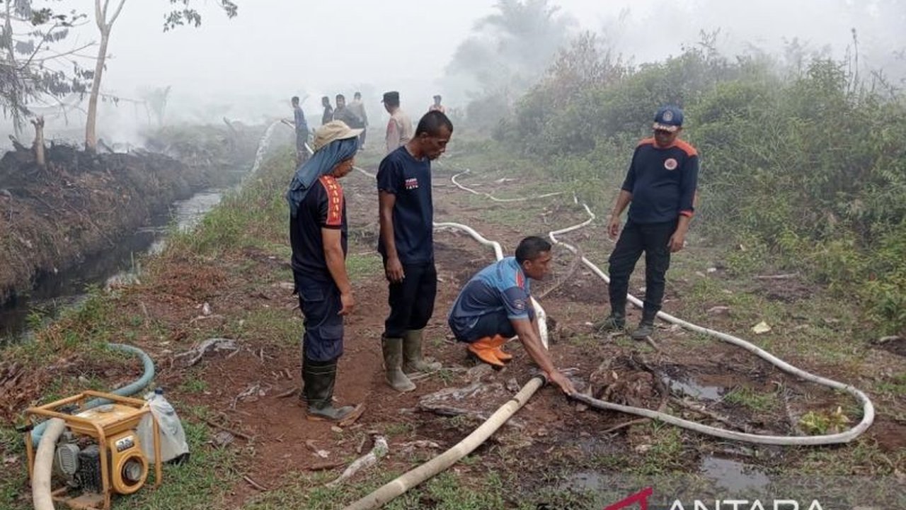 Kebakaran Lahan Dua Hektare di Aceh Barat, BPBD Kerahkan Tim Pemadam