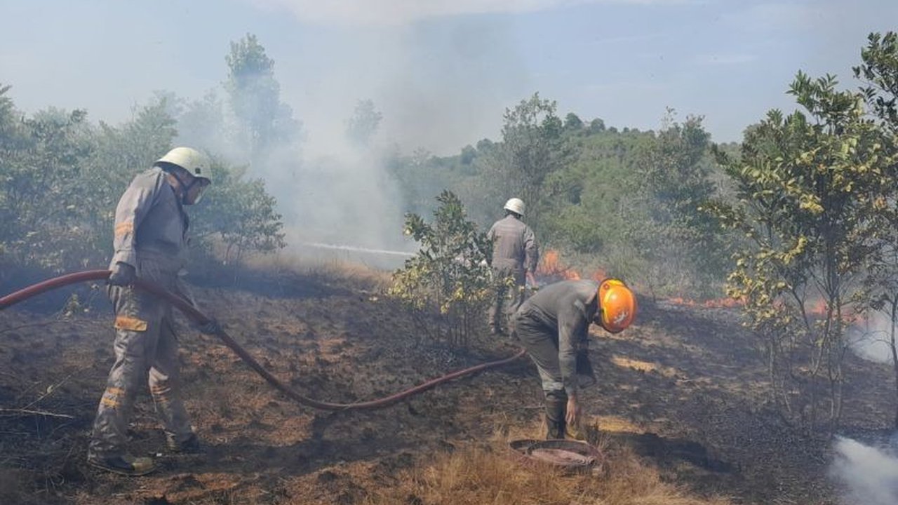 Kebakaran Lahan 3 Hektare di Bintan, Damkar Tanjung Uban Berjibaku Padamkan Api