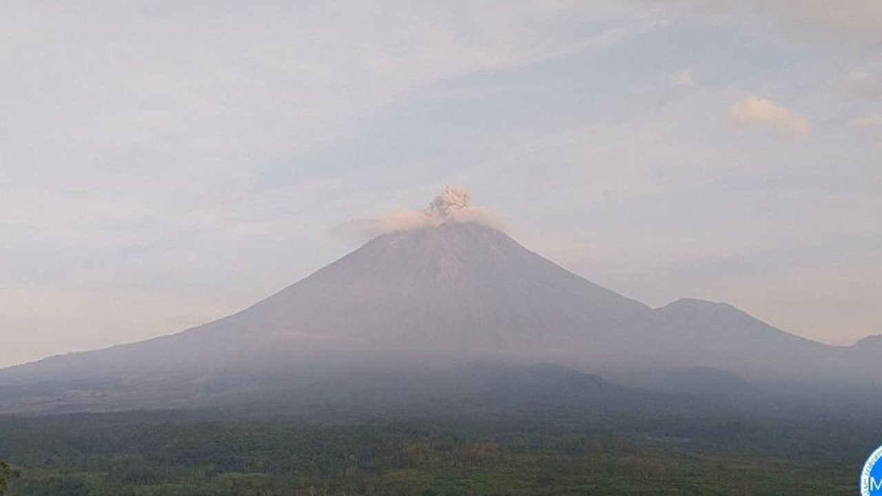 Semeru Erupsi Tiga Kali, Letusan Capai 400 Meter!