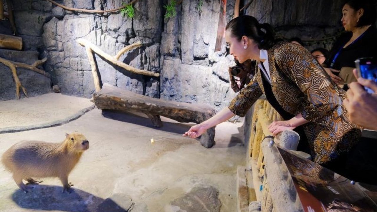 Kemenpar pastikan Jakarta Aquarium Safari siap menerima lonjakan wisatawan selama libur Lebaran, dengan berbagai persiapan fasilitas dan promo menarik.