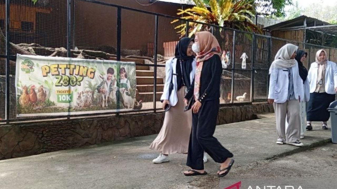 Taman Hewan Pematang Siantar (THPS) hadirkan pengalaman baru: interaksi langsung pengunjung dengan satwa, edukasi, dan hiburan menarik untuk liburan keluarga.