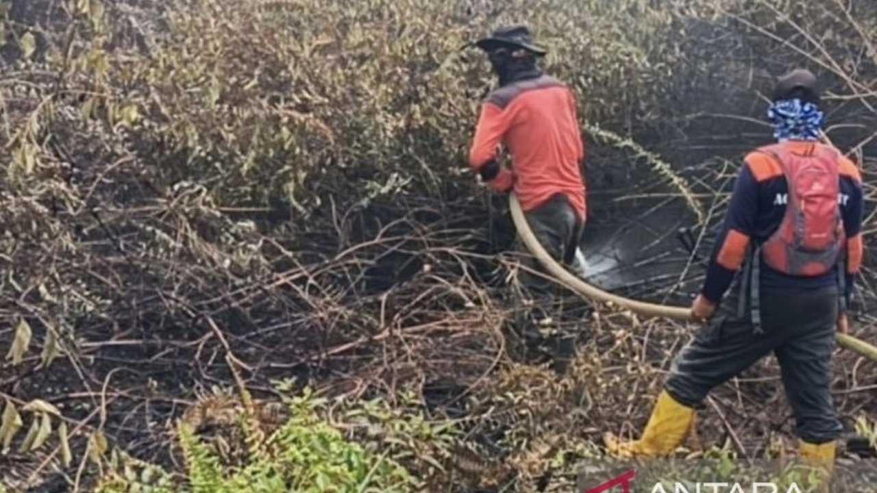 Kebakaran Lahan di Aceh Barat Meluas hingga 2,5 Hektare