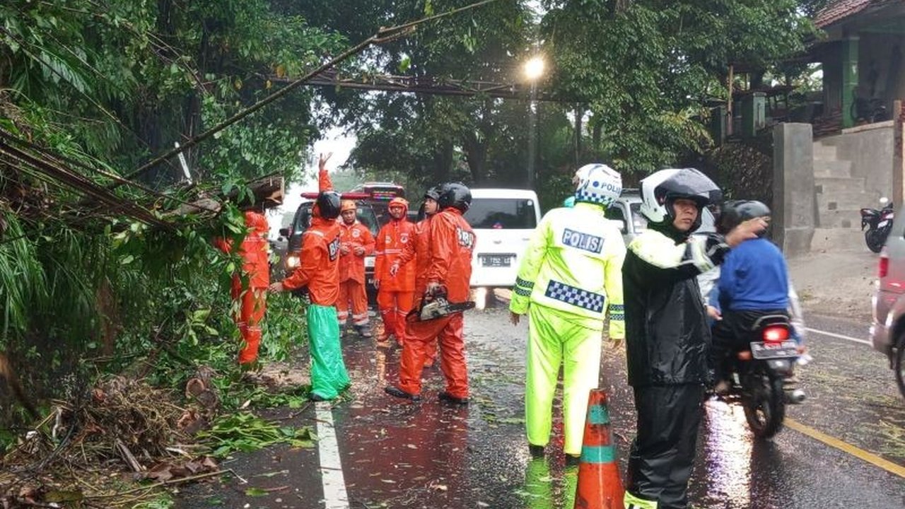 BPBD Ciamis mengingatkan pemudik untuk waspada terhadap potensi pohon tumbang akibat cuaca ekstrem di jalur mudik wilayah Ciamis menjelang Lebaran.
