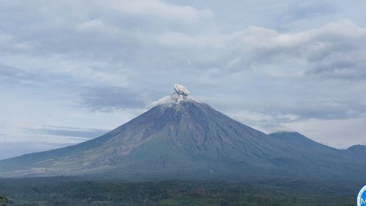 Semeru Erupsi! Kolom Letusan Capai 800 Meter, PVMBG Keluarkan Rekomendasi
