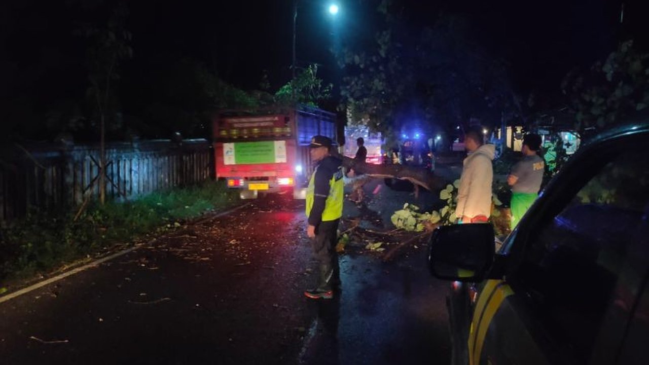 Jalur Lintas Selatan Garut Kembali Lancar Setelah Pohon Tumbang