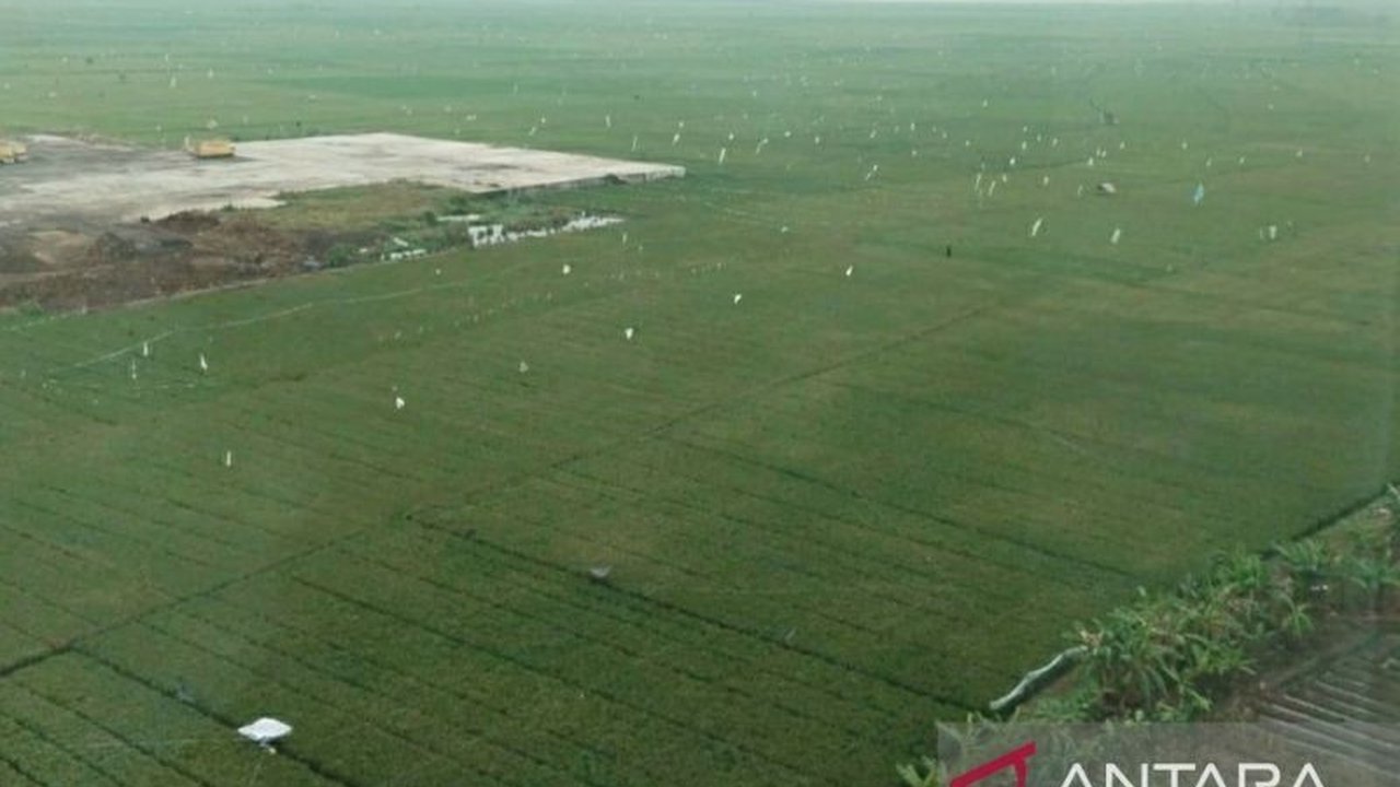 Bulog Karawang gencar serap gabah petani dengan harga Rp6.500/kg, demi ketahanan pangan nasional dan kesejahteraan petani.