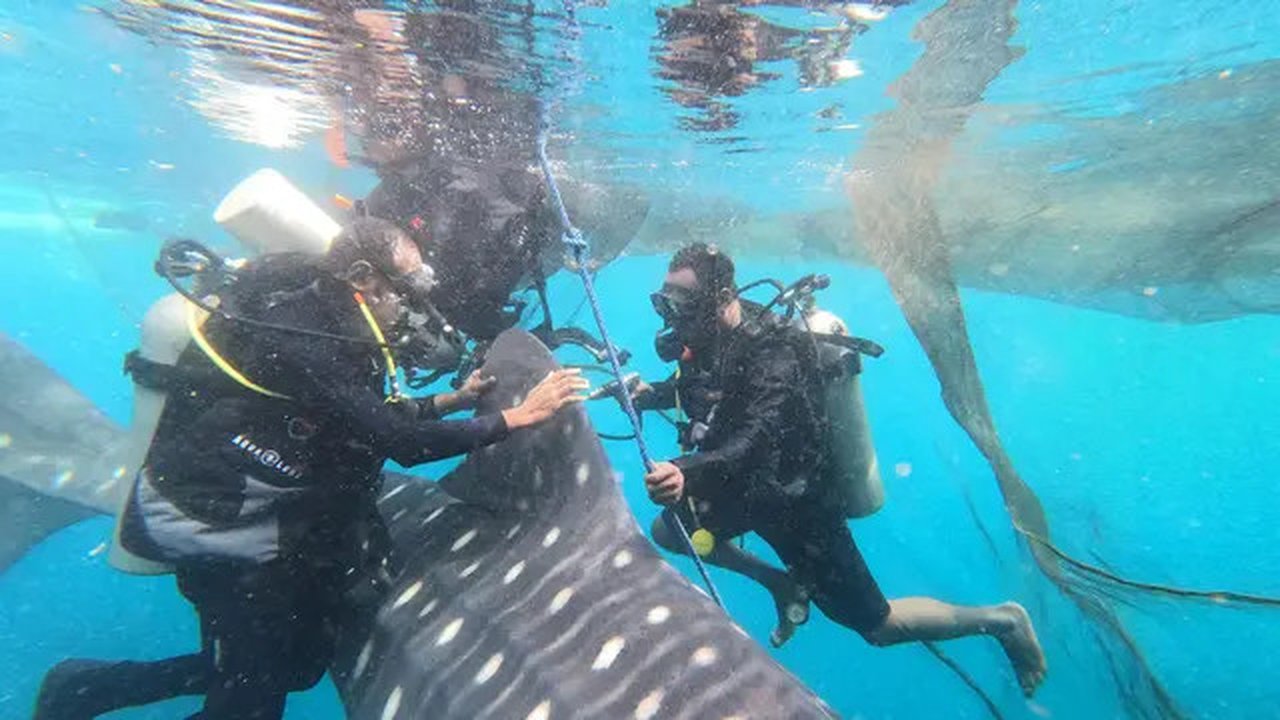 Pertamina Foundation (PF) mewakili PT Pertamina (Persero) memberikan dampak positif di bidang pendidikan, sosial, dan lingkungan, sejalan dengan program Asta Cita Presiden Prabowo Subianto-Gi