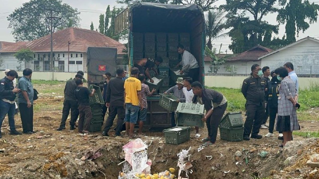 Polda Sumut memusnahkan delapan ton mangga ilegal asal Thailand yang tak memenuhi standar keamanan pangan dan karantina, melindungi masyarakat dari potensi bahaya kesehatan.