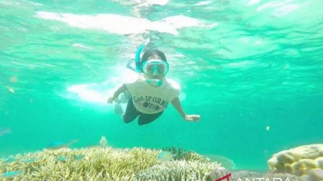 Dinas Pariwisata Kaltim rekomendasikan beragam destinasi wisata, dari pantai hingga ekowisata, untuk liburan Lebaran 1446 H yang menyenangkan.