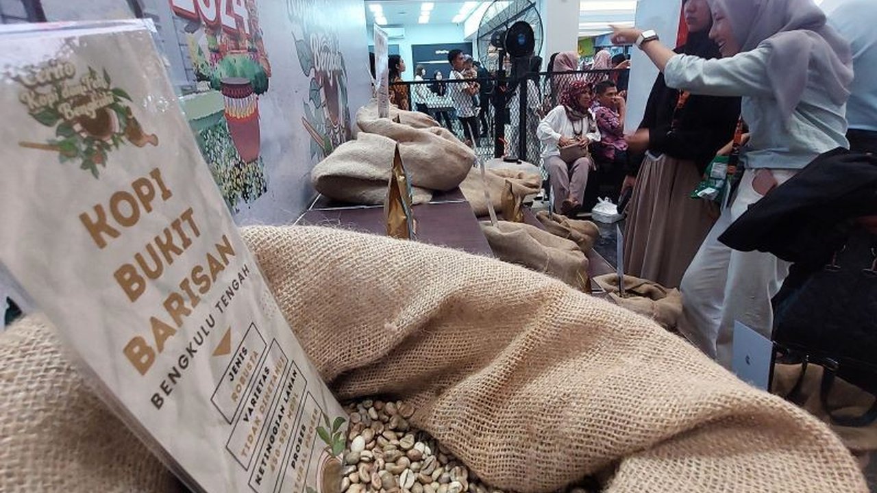 Berbagai pihak berupaya mendorong kopi Bengkulu, khususnya Arabika Rejang dan Mangkuraja Lebong, naik kelas dan menjadi primadona baru di pasar domestik dan internasional, kendati masih menghadapi tantangan branding dan akses pasar.