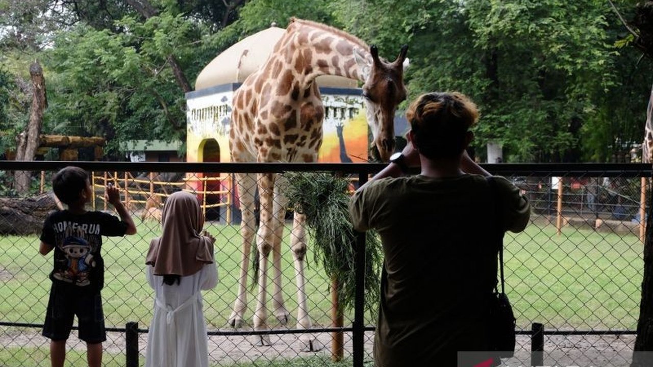 Kebun Binatang Surabaya (KBS) luncurkan wahana Rainbow Slide dan Bioskop 7D, serta satwa baru seperti kakaktua galah dan burung unta, untuk menarik pengunjung libur Lebaran, meskipun hari pertama terpantau sepi.