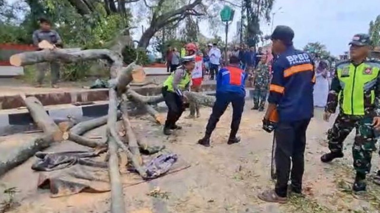 Jumlah korban tewas akibat pohon tumbang saat persiapan Shalat Id di Alun-Alun Pemalang bertambah menjadi tiga orang, satu korban meninggal setelah sempat dirawat di rumah sakit.