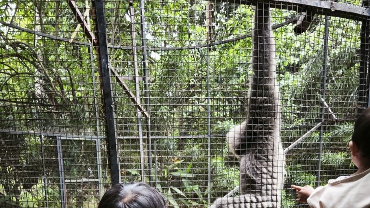 Polda Lampung Jamin Keamanan Wisatawan Selama Libur Lebaran 2025