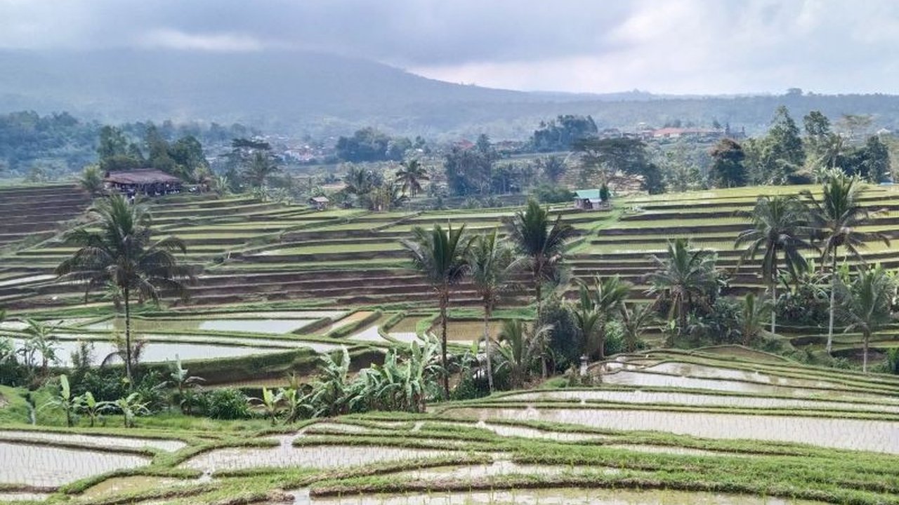 Jelang libur Lebaran 2025, DTW Jatiluwih di Tabanan, Bali, siapkan 12 kantong parkir untuk antisipasi lonjakan wisatawan domestik yang diperkirakan meningkat signifikan.