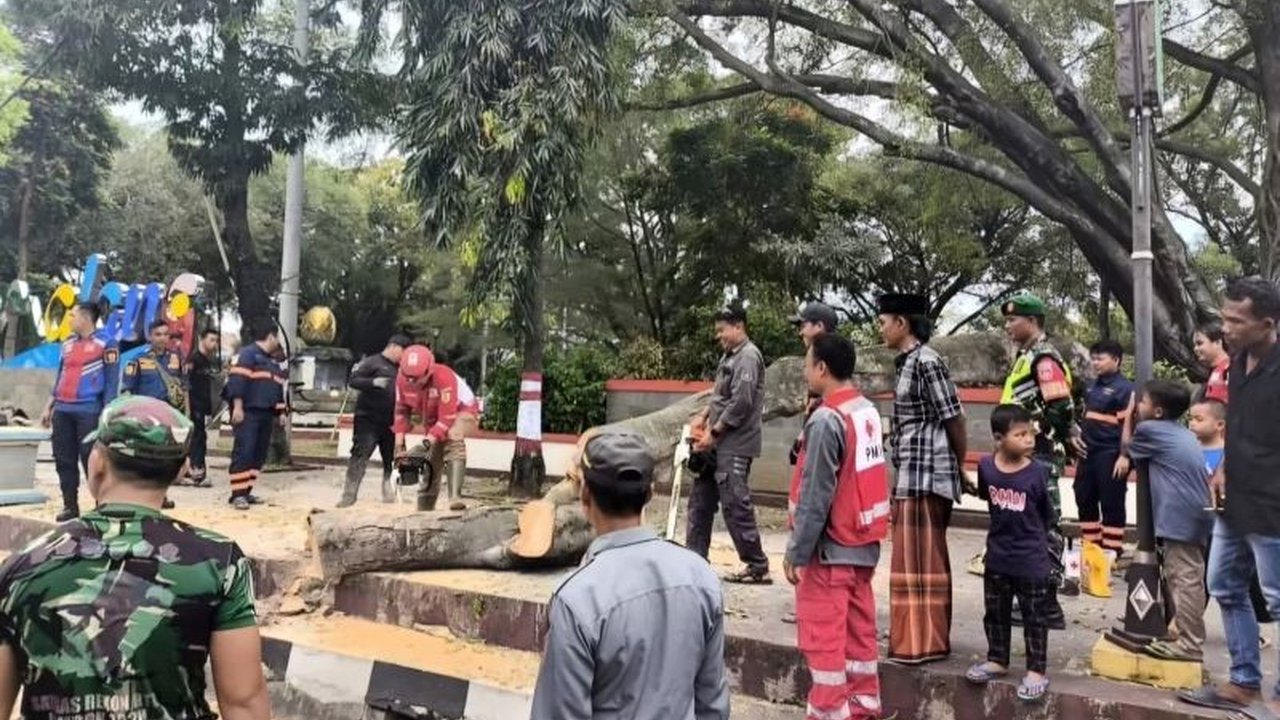 Kemensos bergerak cepat mendata ahli waris korban meninggal dan luka-luka akibat pohon tumbang saat salat Idul Fitri di Pemalang, Jawa Tengah, yang menewaskan tiga orang dan melukai 16 lainnya.