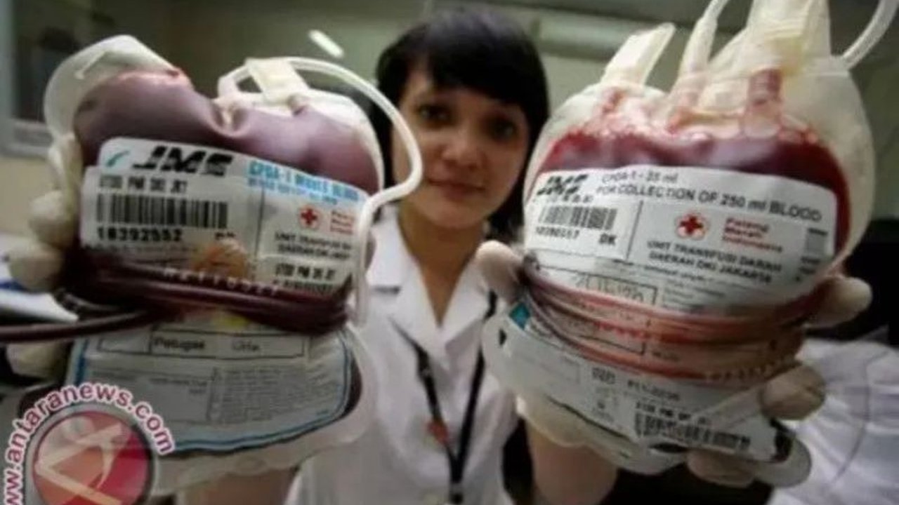 PMI DIY Imbau Donor Darah Selama Lebaran, Stok Darah Menipis Setelah Mudik