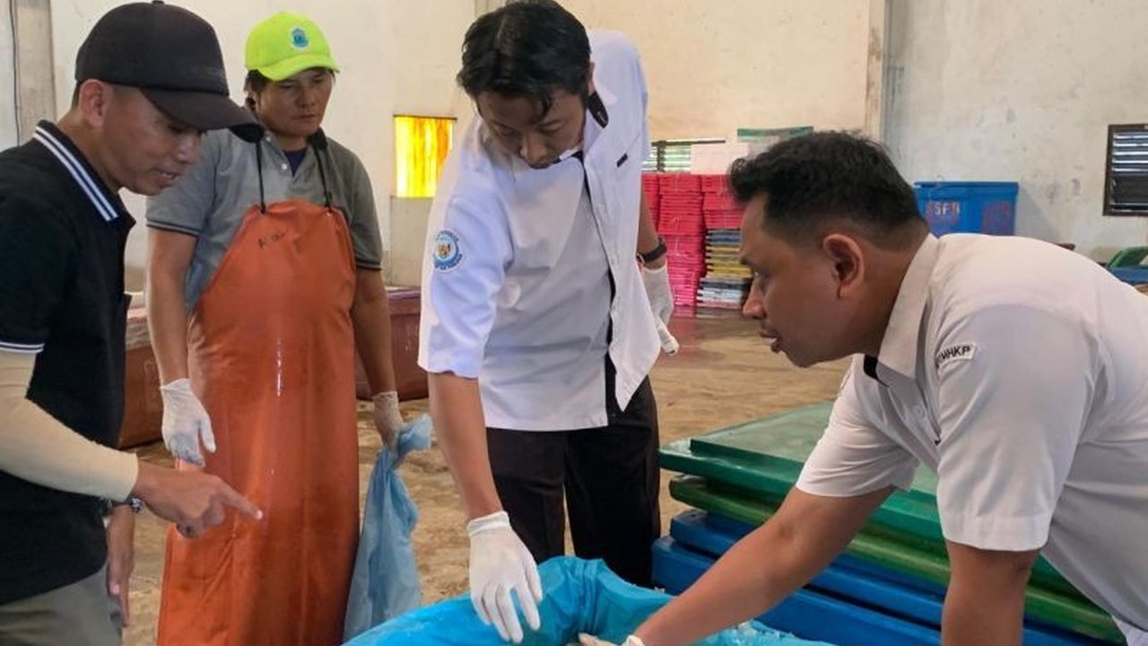 Badan Mutu KKP Kepulauan Bangka Belitung sertifikasi 17 ton ikan segar untuk ekspor, menandai peningkatan potensi perikanan Babel dan komitmen terhadap keamanan pangan.