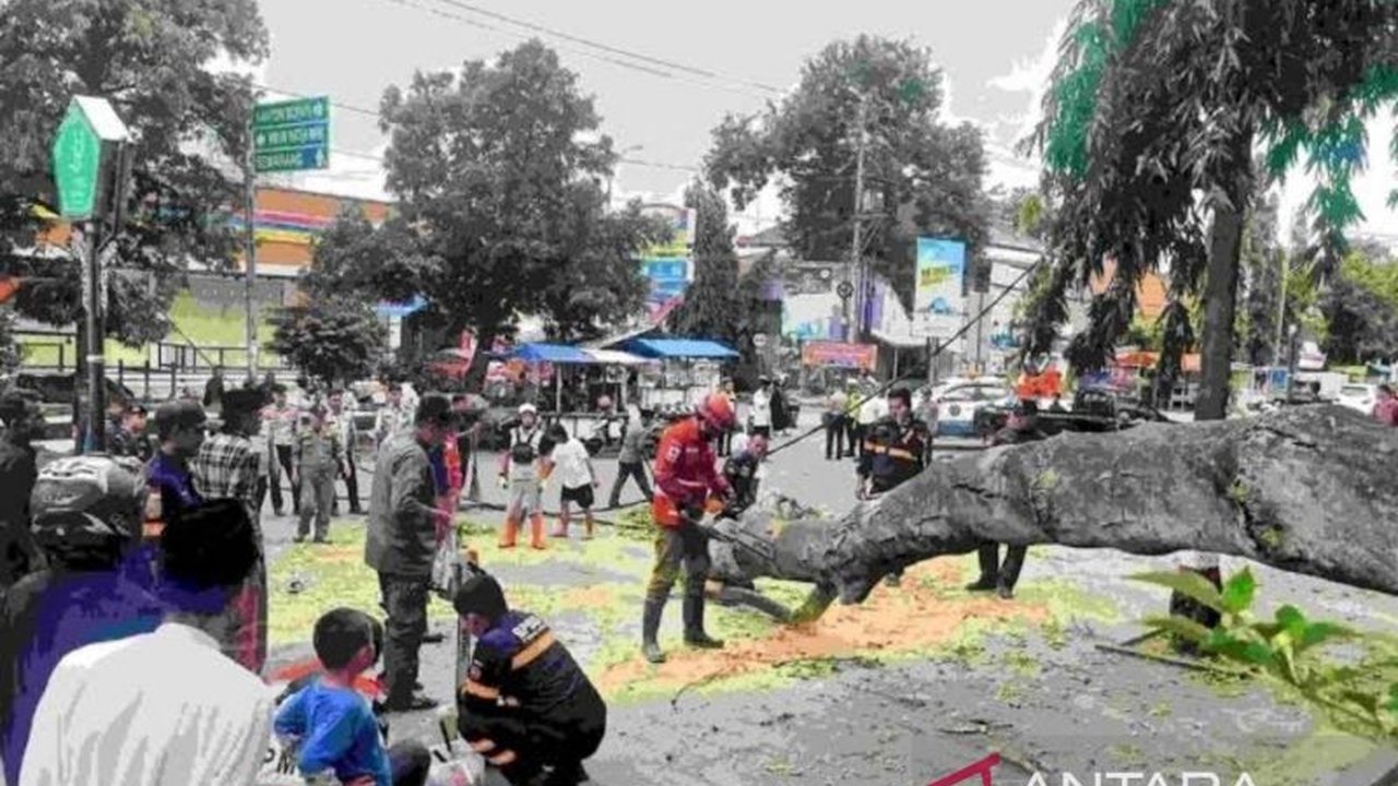 Kementerian Sosial (Kemensos) memberikan santunan kepada 22 korban pohon tumbang saat Salat Id di Pemalang, Jawa Tengah; tiga meninggal dunia mendapatkan Rp15 juta, sementara yang luka berat dan ringan mendapatkan santunan berbeda.