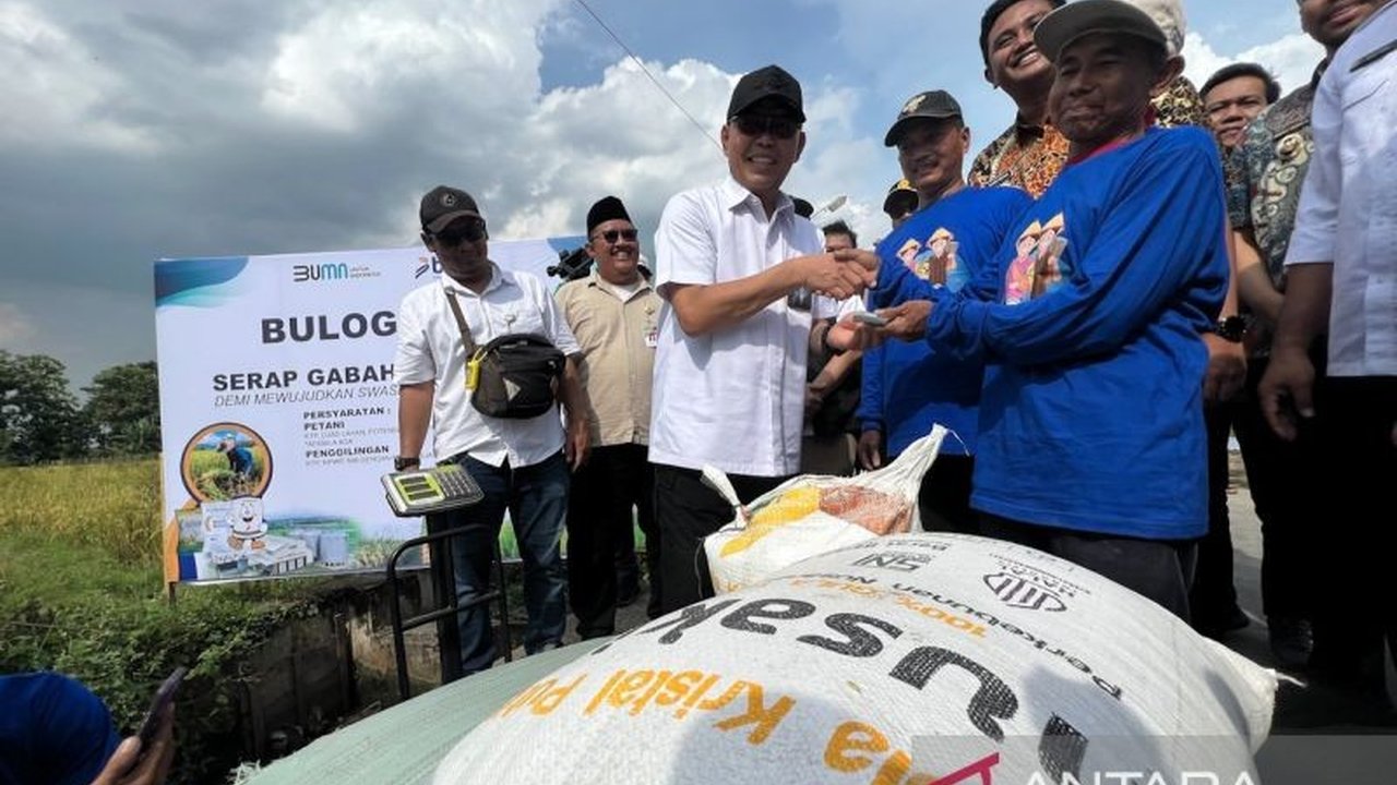 Perum Bulog berhasil menyerap 725.000 ton gabah setara beras hingga Maret 2025, capaian tertinggi dalam 10 tahun terakhir dan mendukung ketahanan pangan nasional.