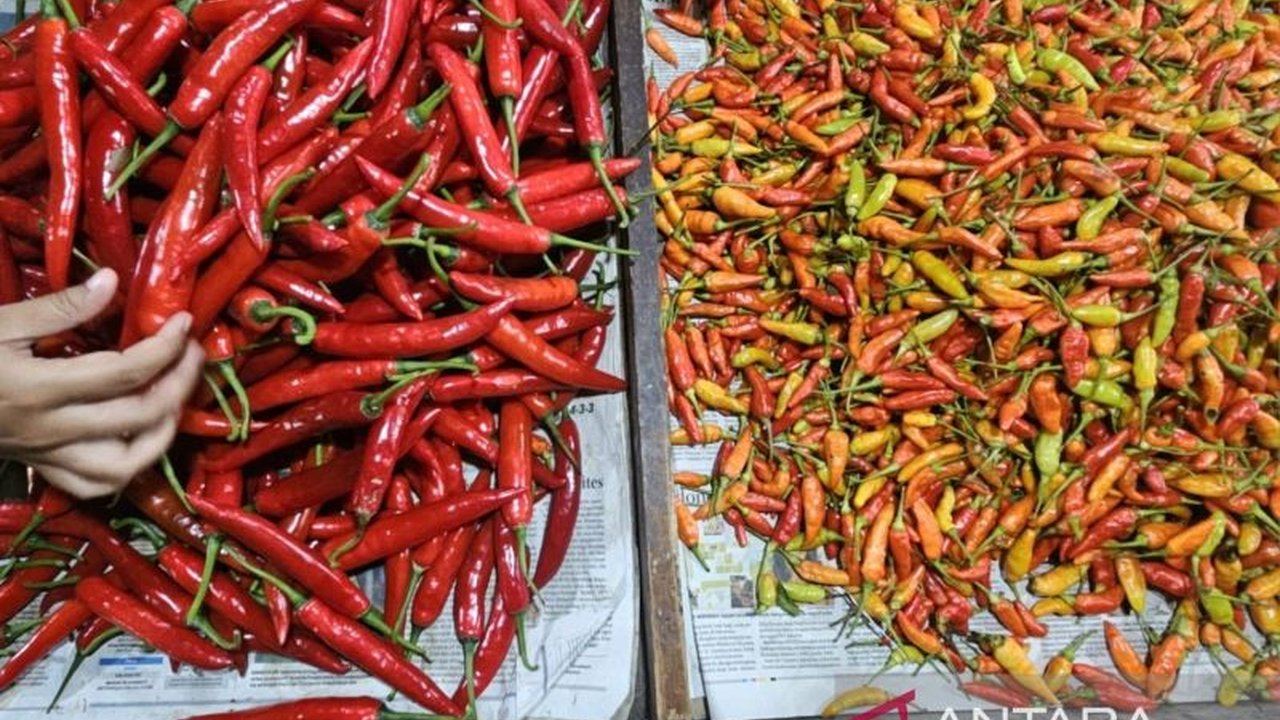 Pedagang di Pasar Besar Malang melaporkan harga bahan pokok seperti minyak goreng, gula, dan cabai tetap stabil bahkan cenderung turun menjelang Lebaran 2025.