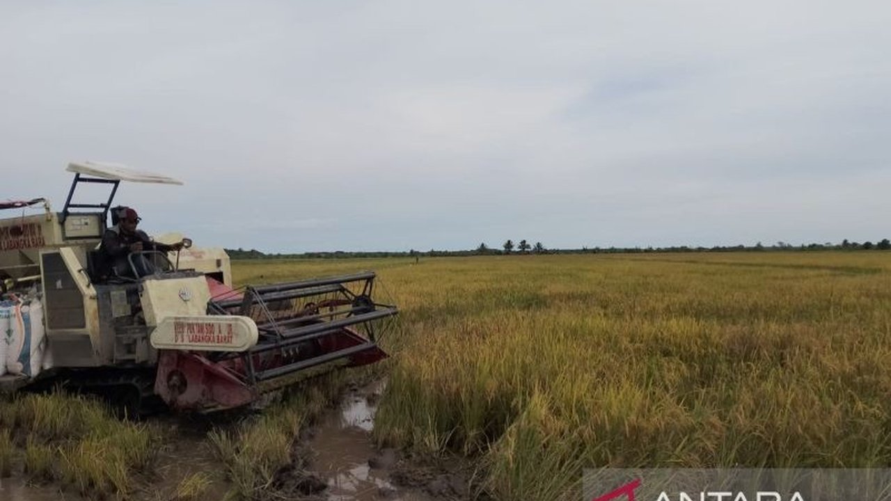 DPRD Penajam Dorong Ketahanan Pangan di Benuo Taka, Wujudkan Lumbung Pangan IKN