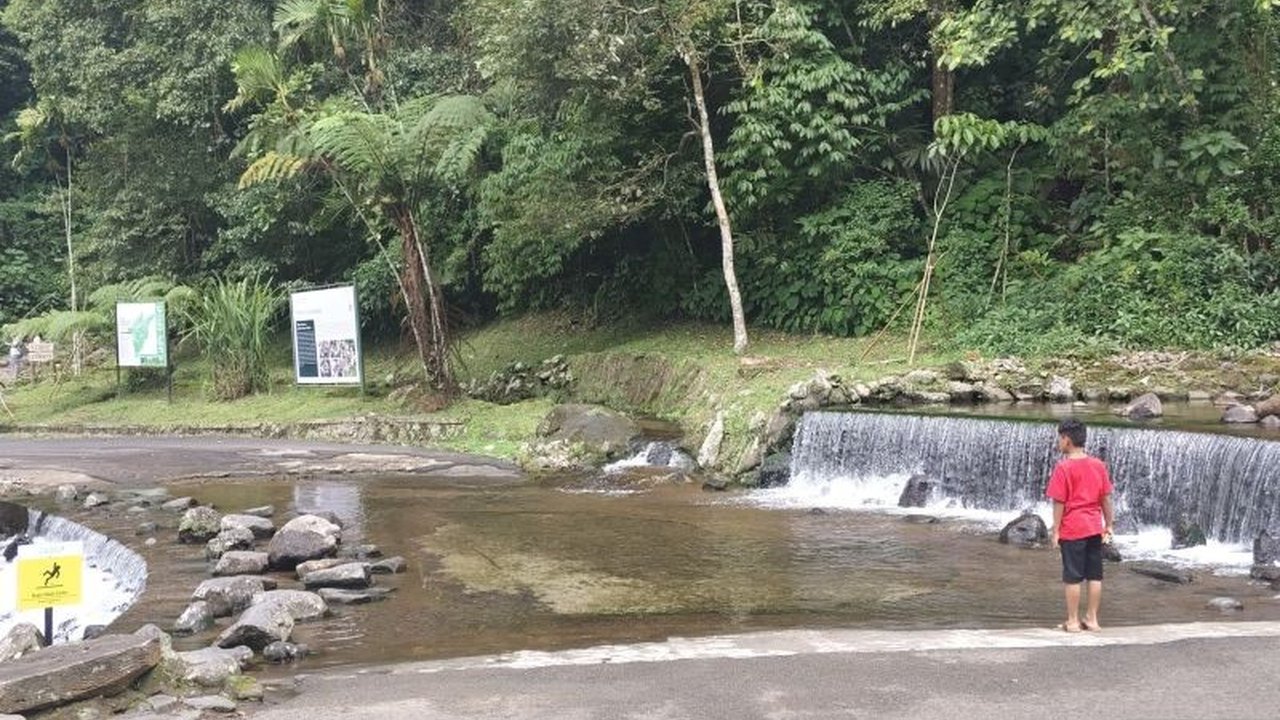 Objek wisata di Cianjur utara, seperti Kebun Raya Cibodas, menjadi tujuan utama wisatawan selama libur Lebaran, dengan peningkatan kunjungan signifikan hingga 100 persen.