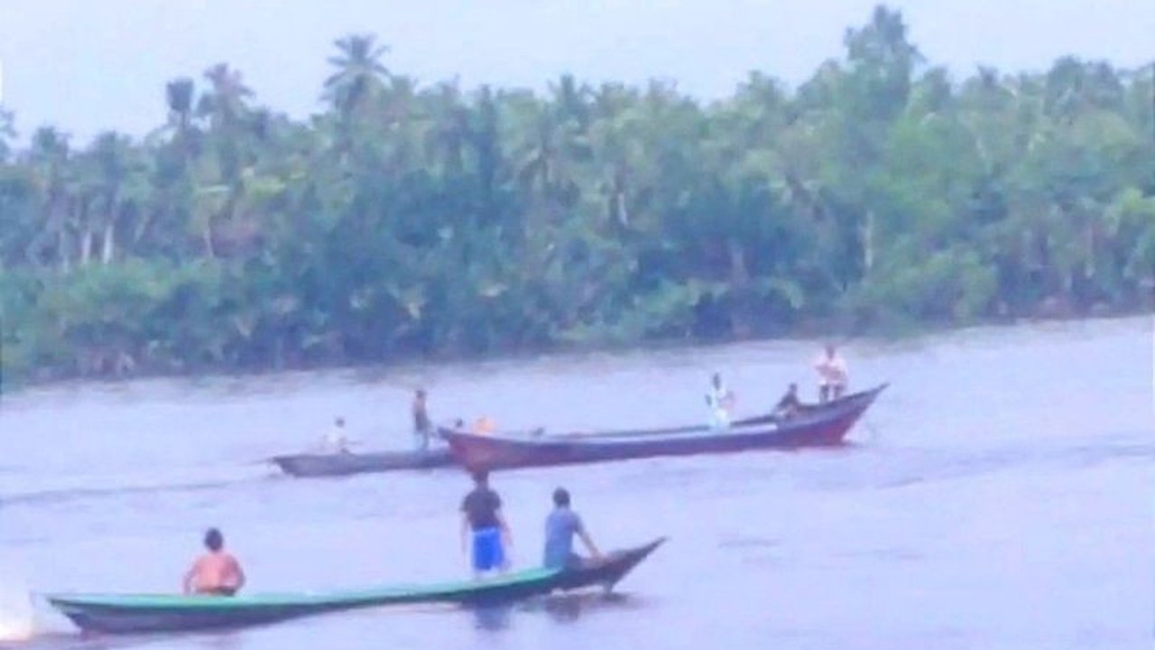 Seorang warga Desa Hanaut, Kalimantan Tengah, diserang buaya saat mandi di Sungai Mentaya; pencarian korban dan buaya masih dilakukan oleh tim gabungan.