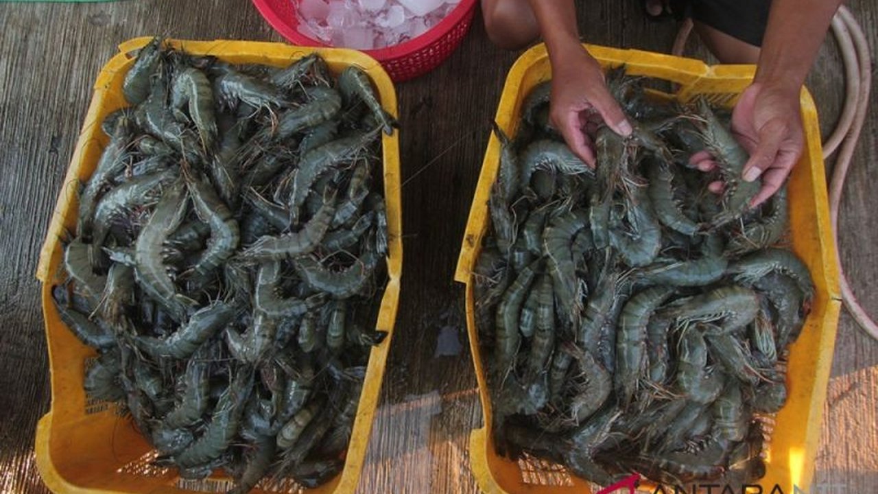 Kebijakan Tarif Trump: Ancaman atau Peluang bagi Ekonomi Indonesia?