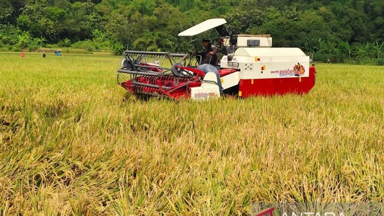 Harga Bahan Pokok Boyolali Stabil Selama Lebaran 2025