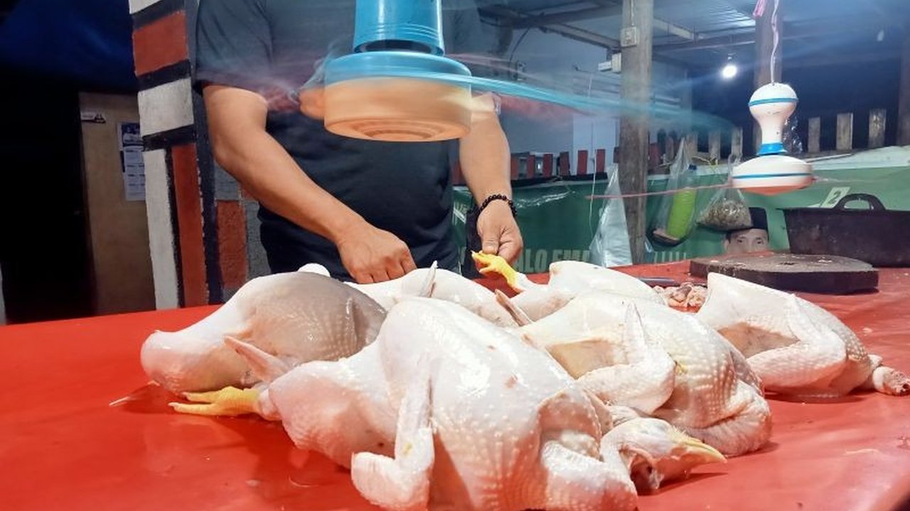 Jelang Lebaran Ketupat, harga ayam potong di Kabupaten Bone Bolango, Gorontalo, naik signifikan hingga Rp33.000 per kilogram, didorong peningkatan permintaan.