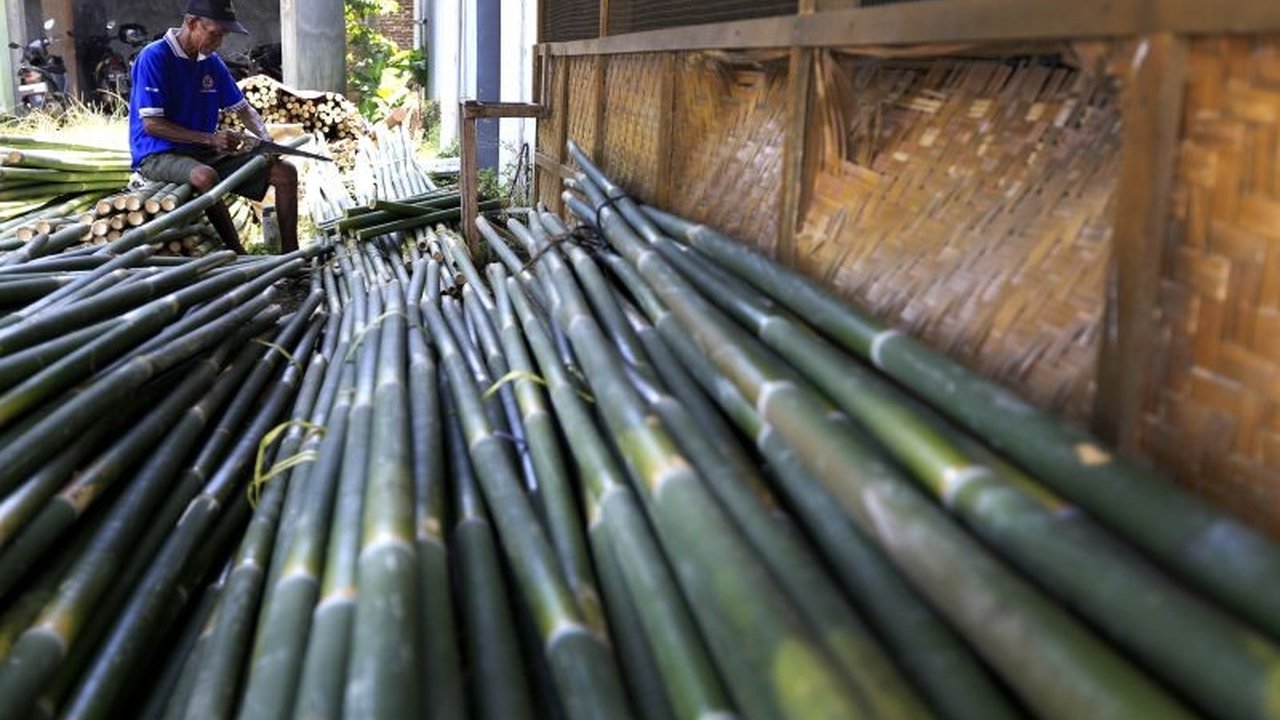 Penjualan bambu untuk membuat nasi bulu meningkat drastis di Gorontalo menjelang perayaan Lebaran Ketupat, dengan pedagang musiman meraup keuntungan berlipat.