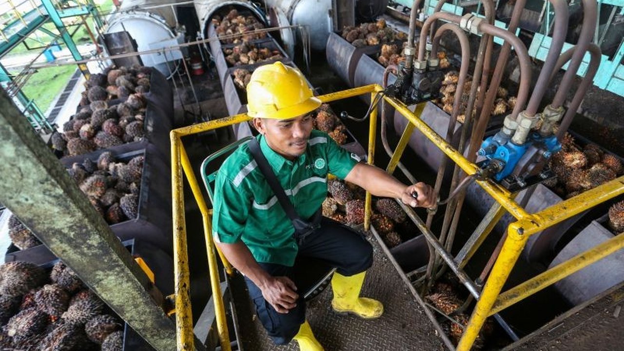 Kebijakan tarif resiprokal Presiden Trump mengancam ekspor oleokimia Indonesia ke AS, mendorong Apolin meminta perlindungan pemerintah.