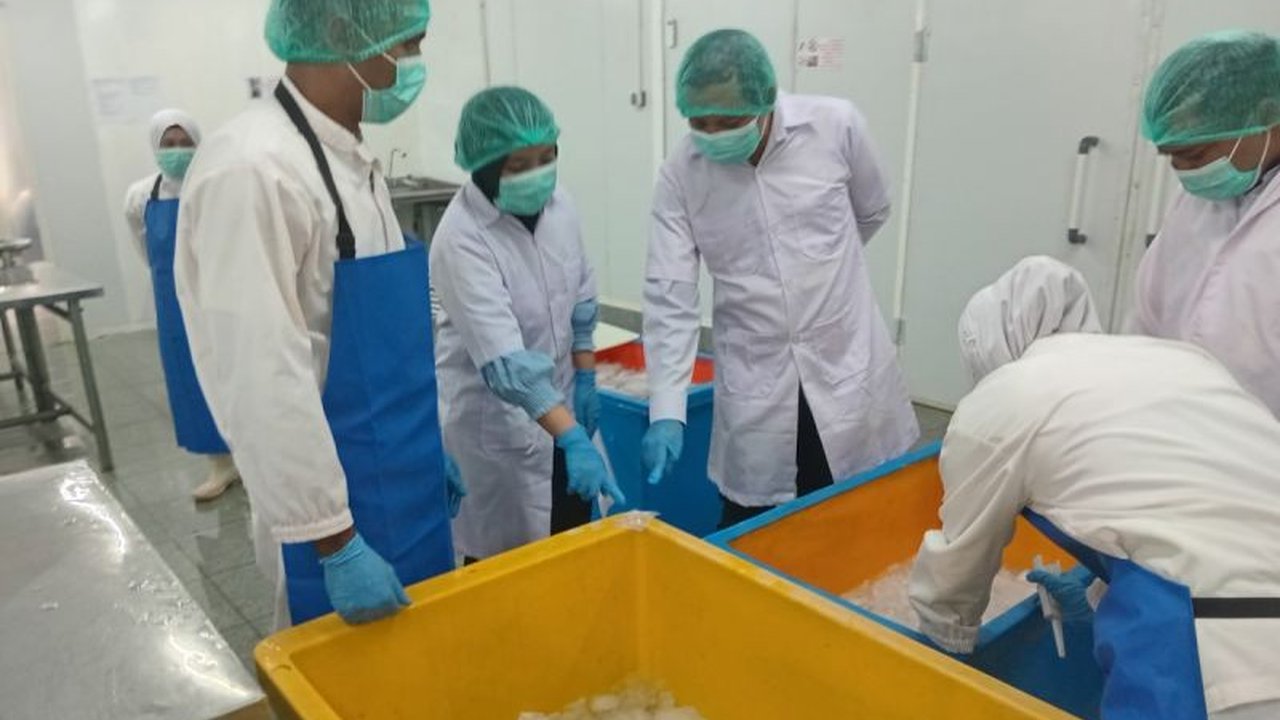 KKP Dorong Ekspor Perikanan ke Korea Selatan: 11 Perusahaan Mendapat Persetujuan