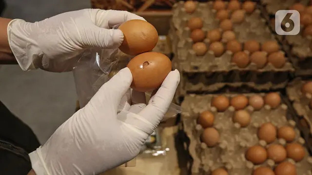Petugas lab dari Dinas KPKP Provinsi DKI Jakarta mengecek telur di Swalayan Gelael, Pancoran, Jakarta, Senin (21/12/2020).  untuk hasil perikanan ikan, udang, cumi dan olahannya serta produk