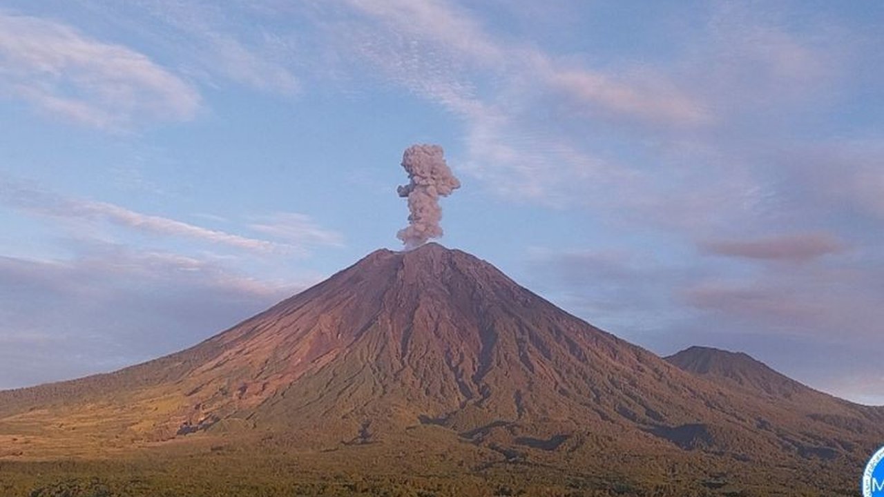 Semeru Erupsi! Letusan Capai 800 Meter di Atas Puncak