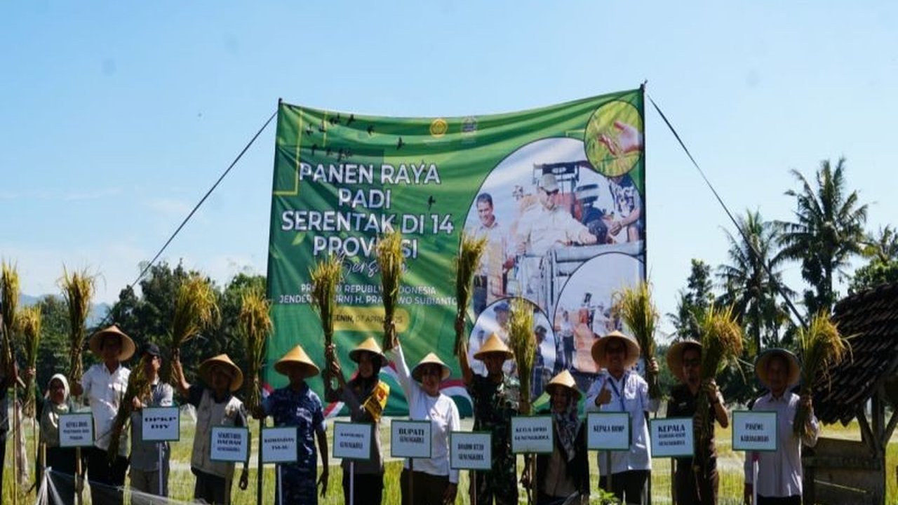 Kabupaten Gunungkidul, Yogyakarta, berhasil membukukan produksi padi mencapai 203.842 ton pada Januari-Maret 2025, Bupati Endah Subekti Kuntariningsih pun mengapresiasi kinerja petani dan program pemerintah.