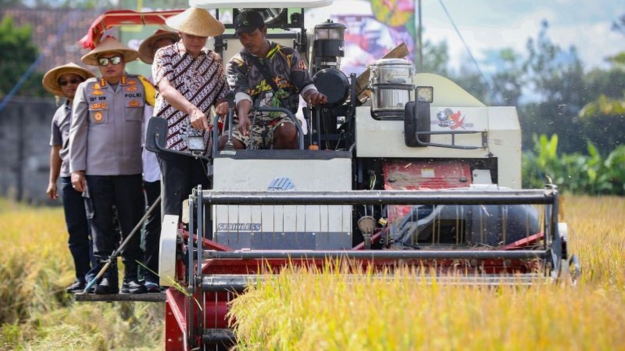Pemkab Sleman menggelar panen raya padi serentak dengan 14 provinsi lain, sebagai upaya percepatan swasembada pangan nasional, dengan harga pembelian gabah Rp6.500 per kilogram.