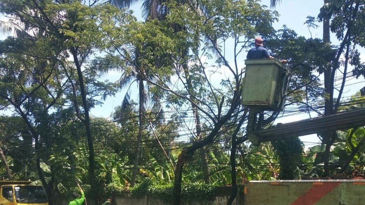 Pemerintah Kota Tangerang memastikan tidak ada korban jiwa akibat delapan laporan pohon tumbang selama libur Lebaran, berkat respon cepat petugas yang disiagakan.