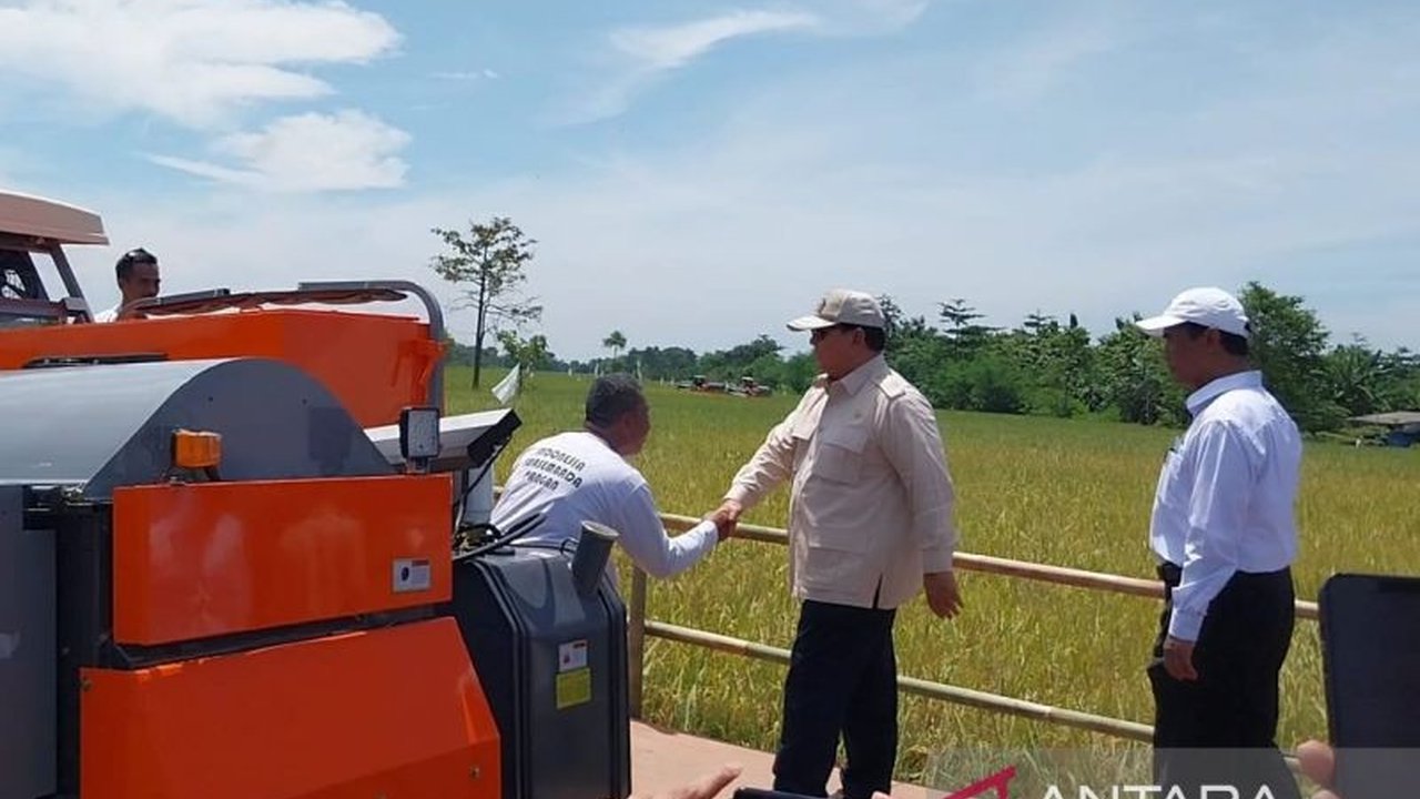 Kebijakan pemerintah Jokowi-Maruf terkait peningkatan alokasi pupuk bersubsidi dan perbaikan irigasi telah meningkatkan produktivitas pertanian dan pendapatan petani di Majalengka, Jawa Barat.