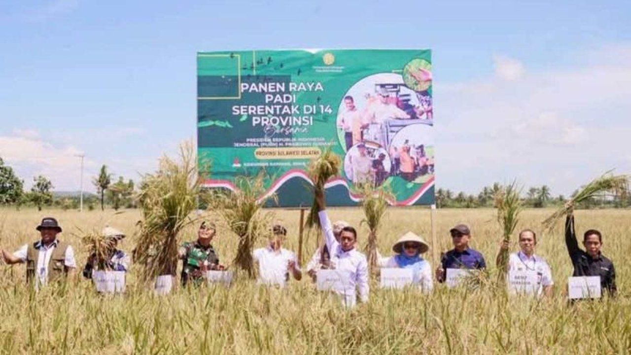 Presiden Prabowo Subianto ikuti panen raya padi serentak di 14 provinsi, termasuk Sidrap, Sulawesi Selatan, dengan hasil panen meningkat signifikan hingga 7,4 ton per hektare.