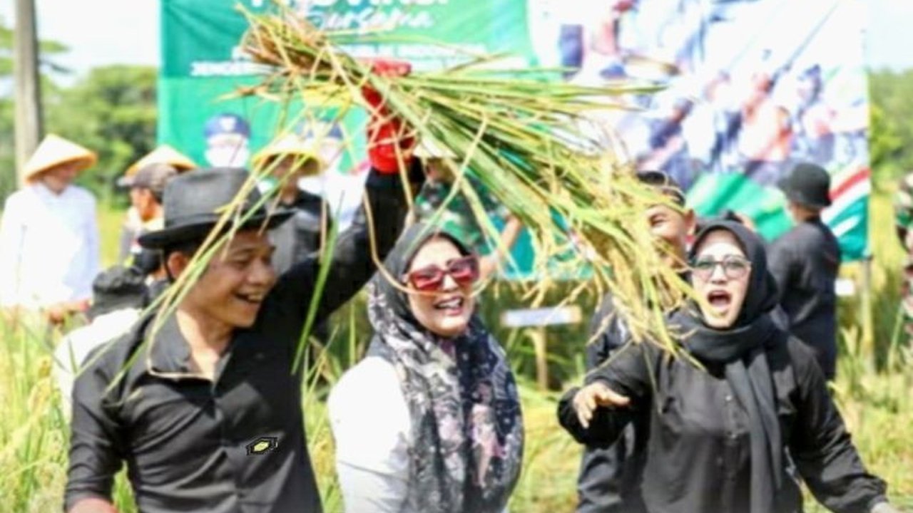 Bupati Purwakarta, Saepul Bahri, turun langsung ke sawah dalam panen raya padi serentak di 14 provinsi, menargetkan surplus padi Purwakarta hingga 100 ribu ton per tahun.