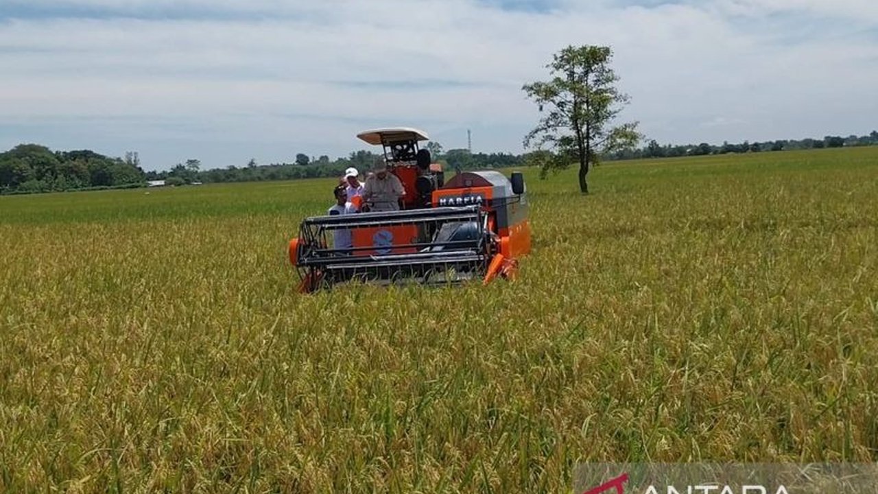Program pompanisasi berhasil meningkatkan produksi padi di Pulau Jawa hingga 2,8 juta ton, mengatasi dampak El Nino dan meningkatkan stok beras nasional.