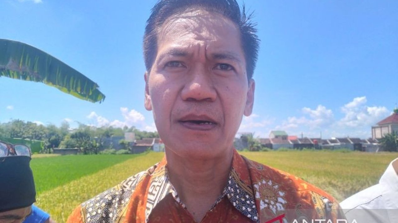 Pemkab Klaten ungkap keberhasilan petani dalam mengendalikan hama padi secara hayati, memanfaatkan varietas tahan penyakit dan tanam serentak, kendati tantangan masih ada di daerah tadah hujan.