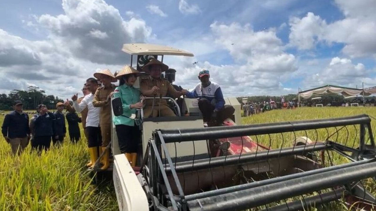 Panen raya padi seluas 250 hektare di OKI, Sumatera Selatan, yang dihadiri Presiden Prabowo dan Gubernur Herman Deru,  menandai upaya pemerintah meningkatkan produksi beras dan mencapai kemandirian pangan.
