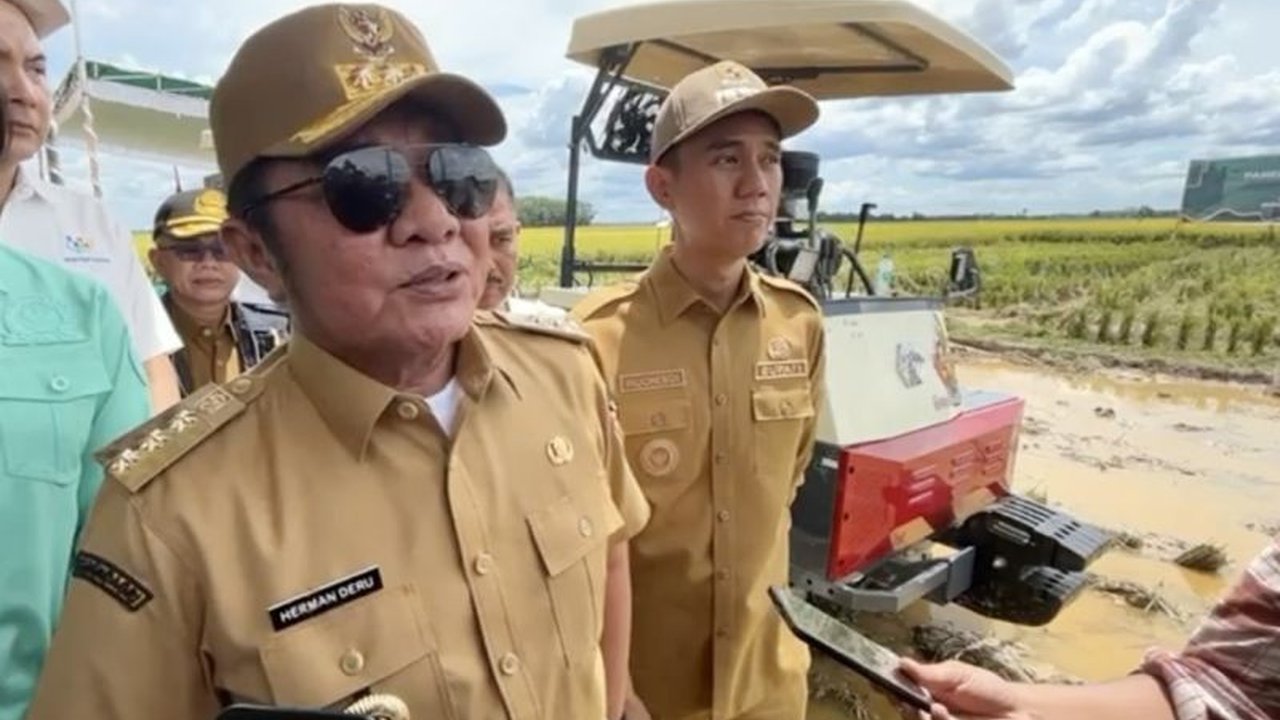 Sumsel Bidik Produksi Padi 3,5 Juta Ton pada 2025, Raih Peringkat Lima Besar Nasional?