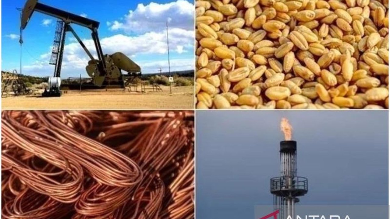 Kebijakan tarif resiprokal AS berpotensi melemahkan industri teknologi informasi Indonesia karena keterbatasan produksi lokal dan peningkatan harga impor akibat pelemahan rupiah.