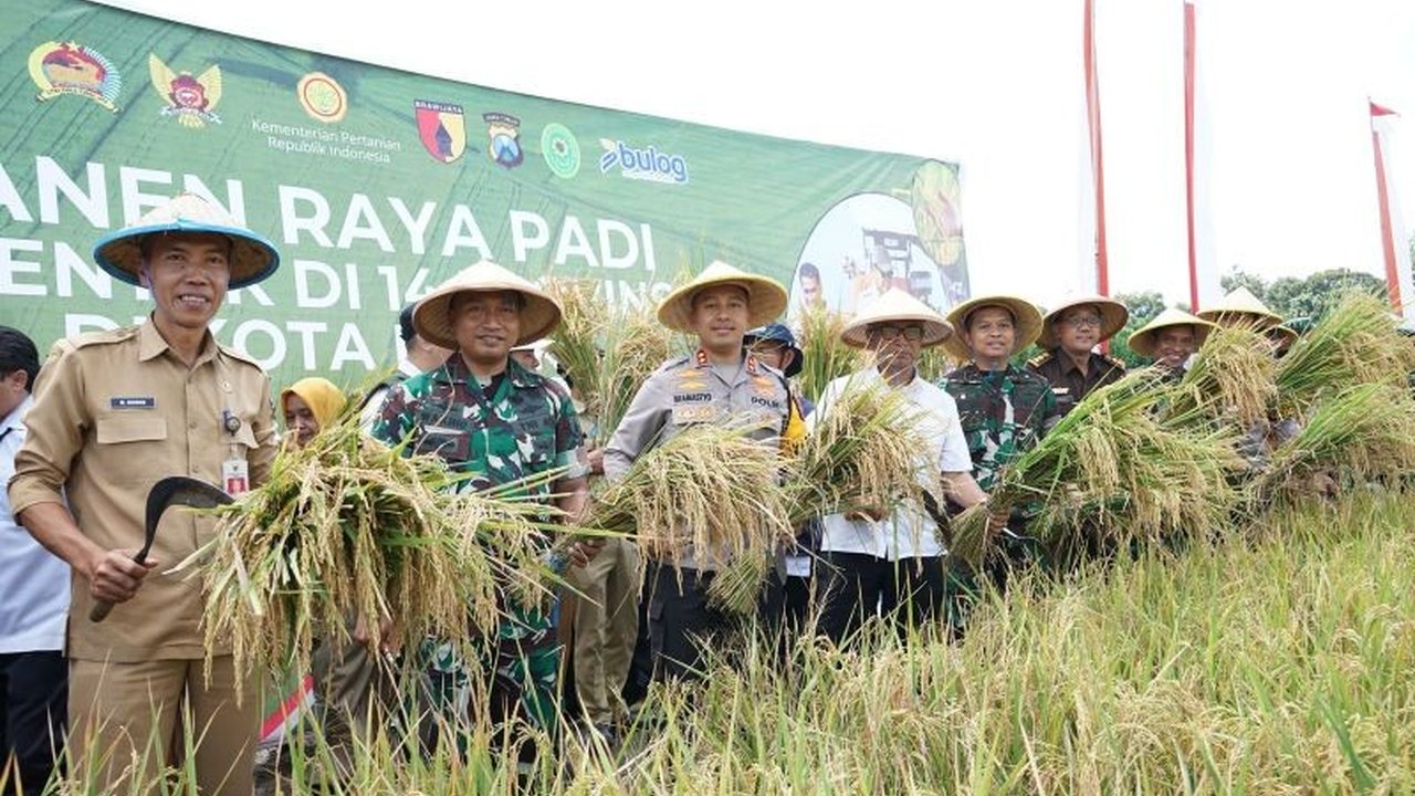 Panen raya padi di Kota Kediri, Jawa Timur, berhasil memperkuat ketahanan pangan lokal dan menunjukkan sinergi positif antara pemerintah, TNI, Polri, dan masyarakat.