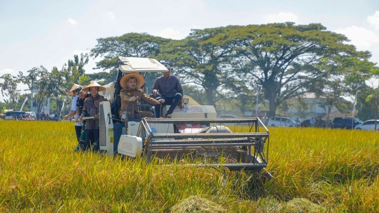 Pemerintah Provinsi Jawa Tengah optimistis mencapai target produksi padi 11,8 juta ton pada 2025, ditunjang luas lahan tanam 2,3 juta hektare dan kolaborasi berbagai pihak.